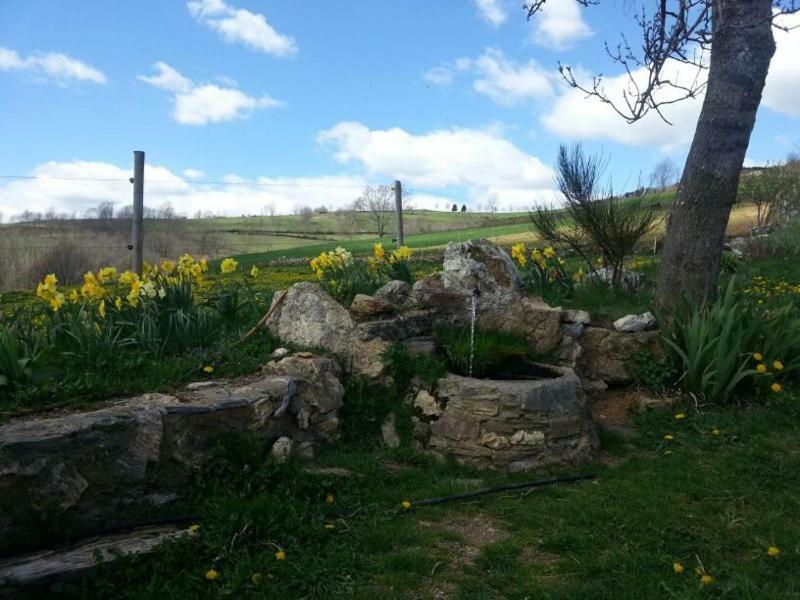Casa Rural Mollo, Vall de Camprodon Esterno foto